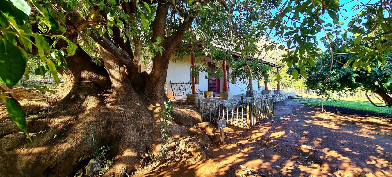 Wildedruifhuisie - Bed and Breakfast Studtis