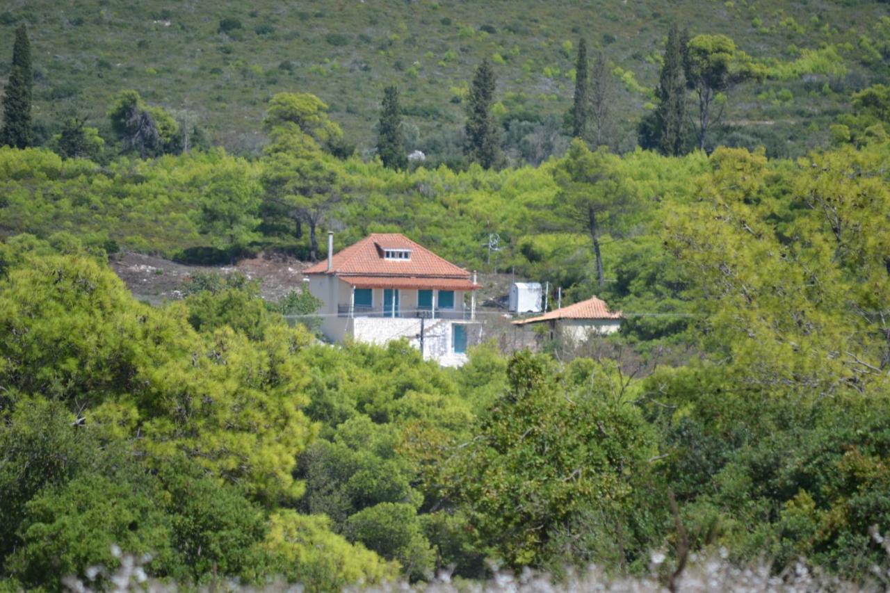 Villa “Serenity” - B&B