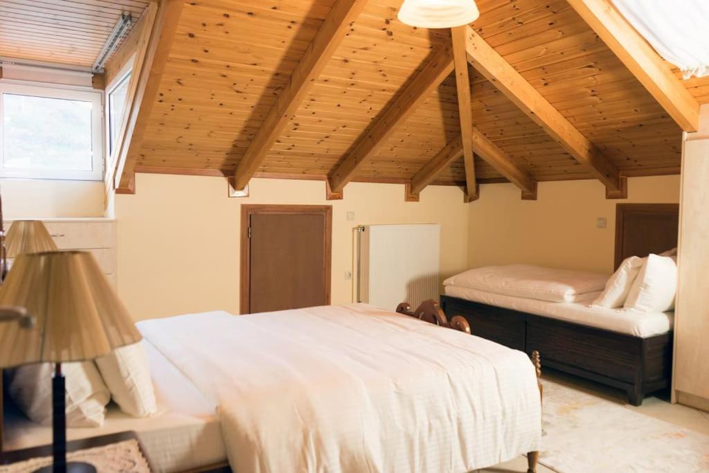 Cozy Σοφίτα - Ferienwohnung Ioannina