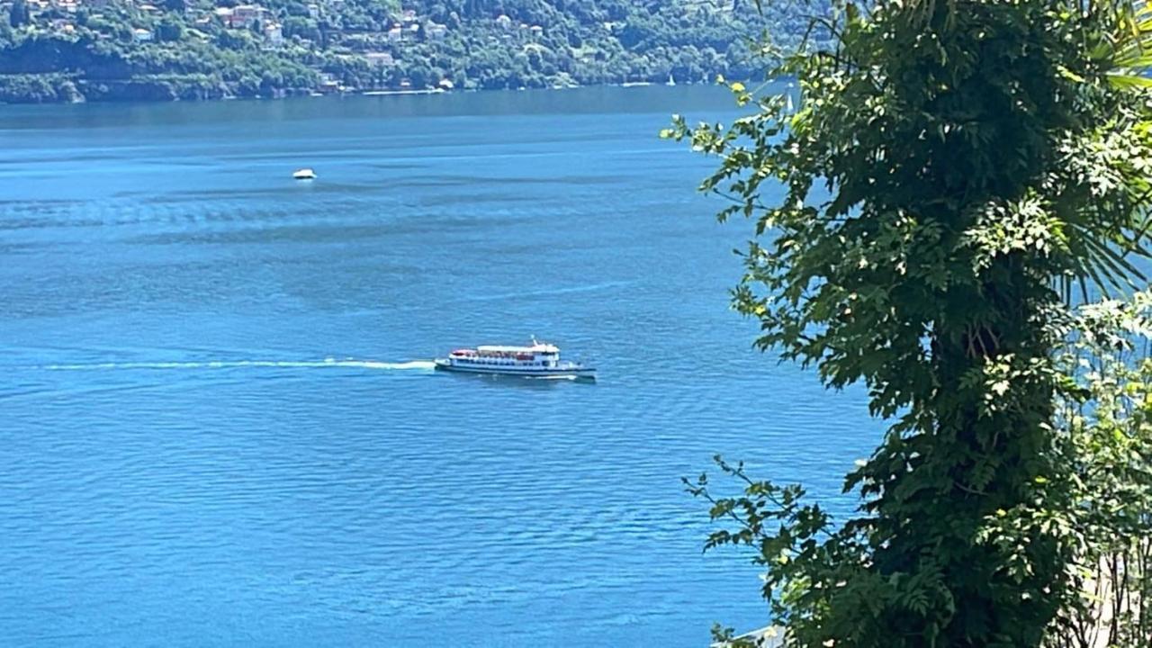 Swiss Blue Residence. Apartment Lake Paradise - Chambres d’hôtes Brissago
