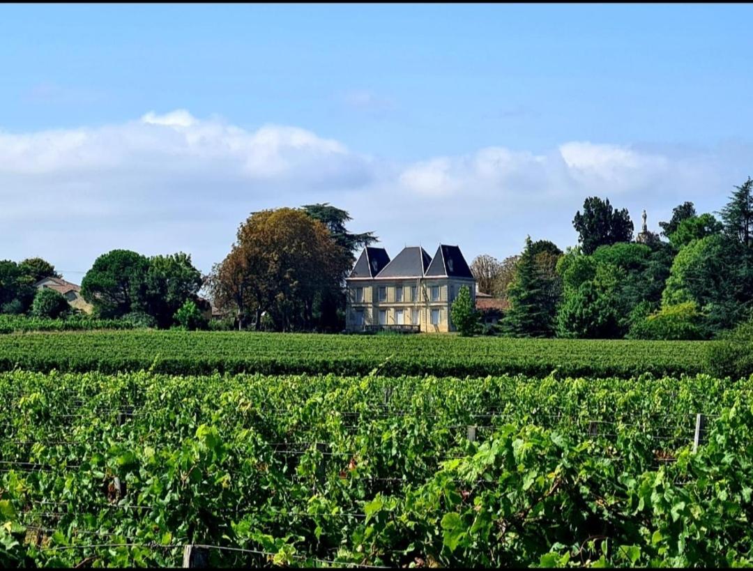 Chateau Tanesse de Tourny - B&B