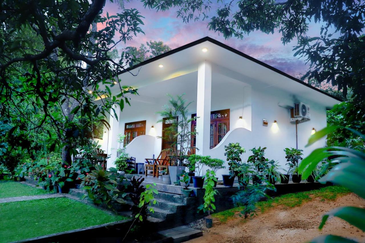 B&B Sigiriya - The Cattleya Guest House - Bed and Breakfast Sigiriya