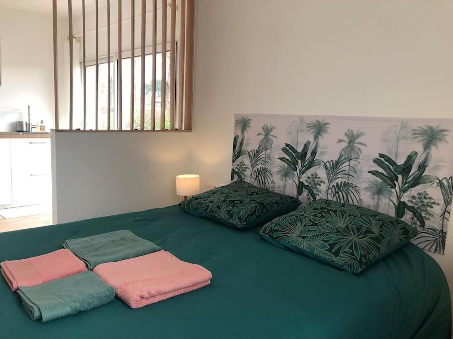 Studio avec Piscine - Bed and Breakfast Saint-Médard-en-Jalles