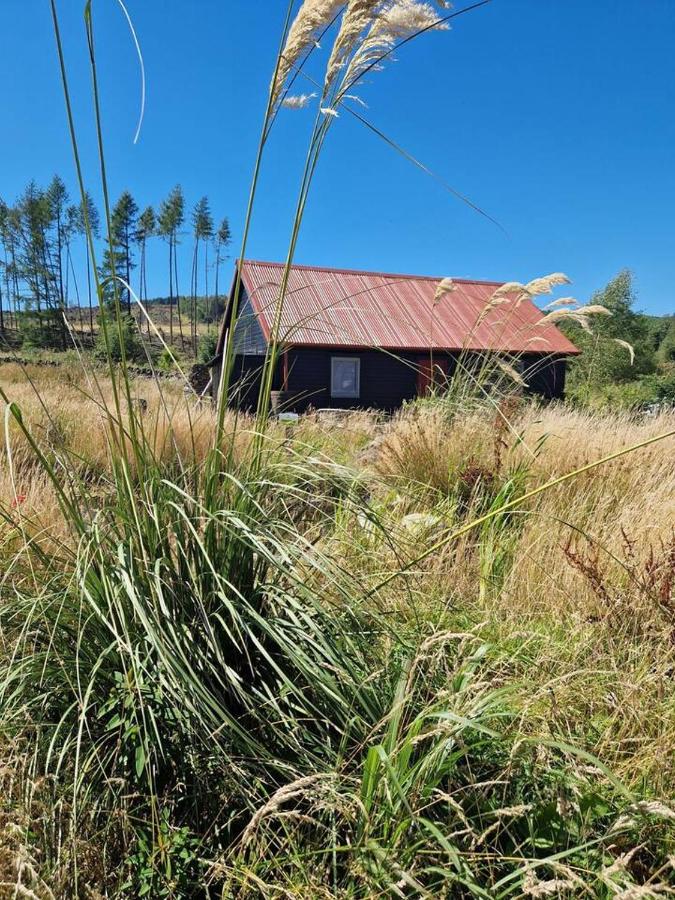 The Bothy In The Park - B&B Stirling