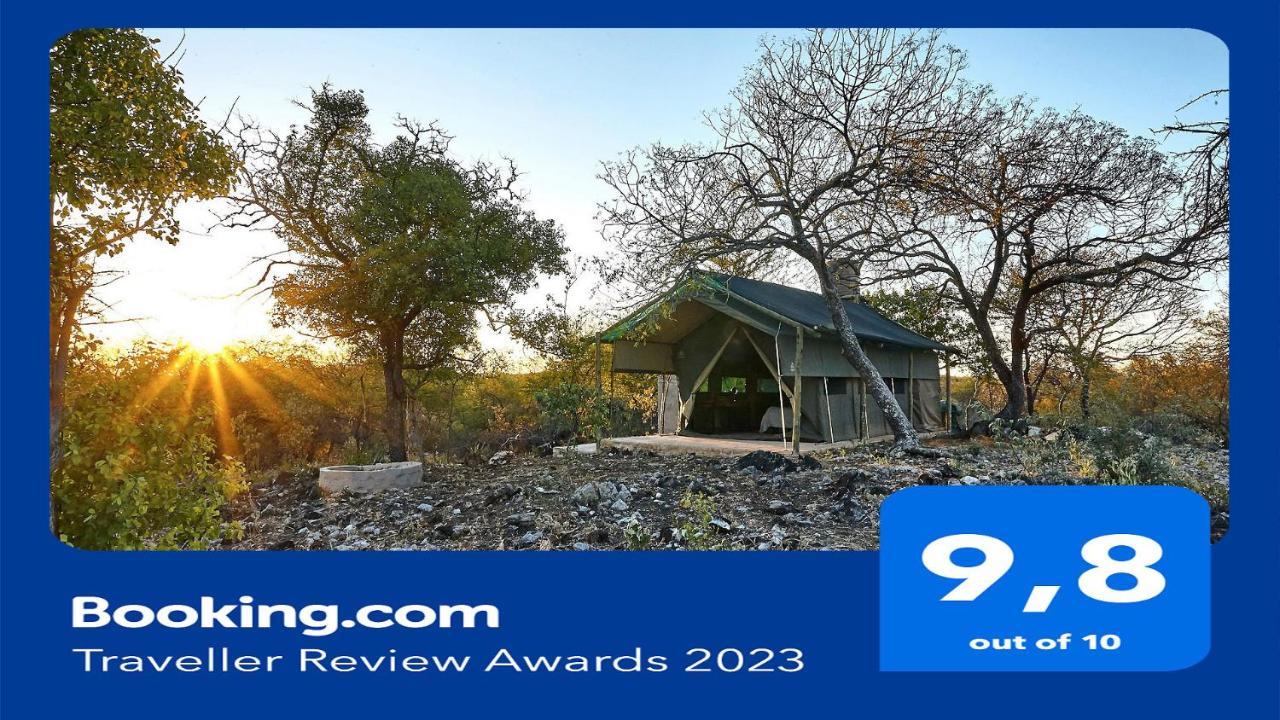 B&B Tsumeb - ZuriCamp - Tent Amani - Bed and Breakfast Tsumeb