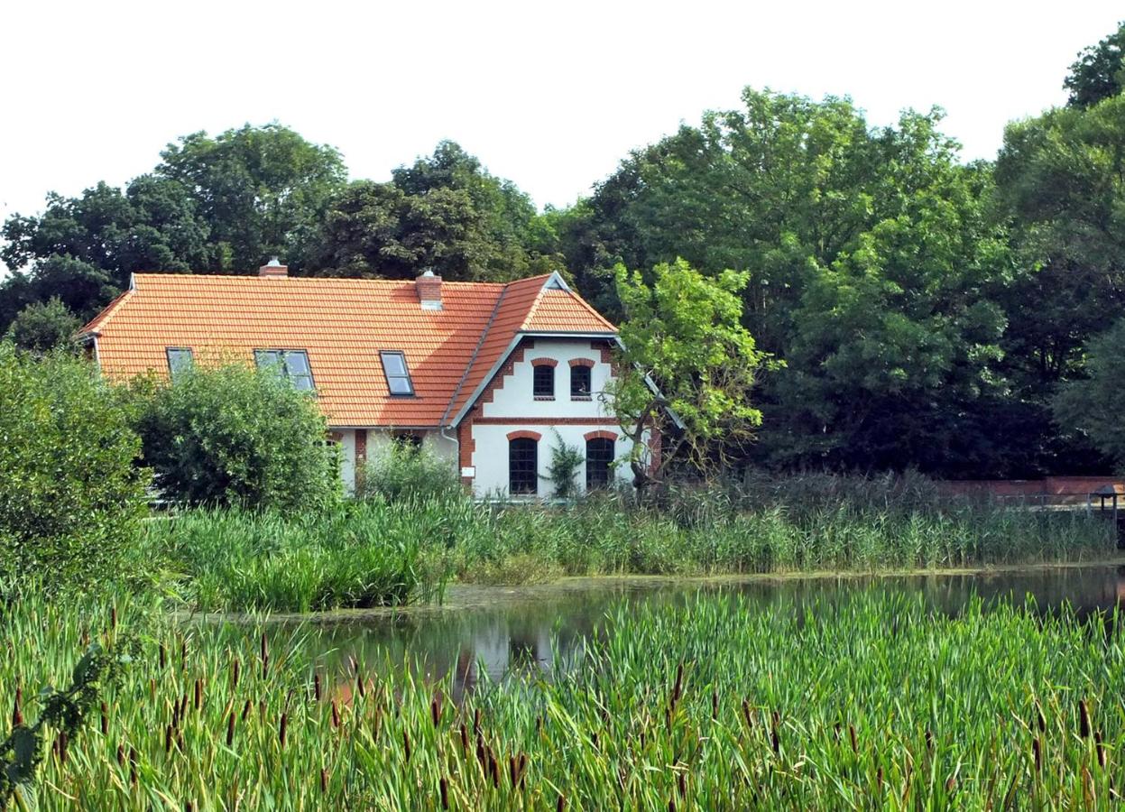 B&B Hohen Demzin - Ferienhaus Wassermühle Klein Köthel SCHW 1091 - Bed and Breakfast Hohen Demzin