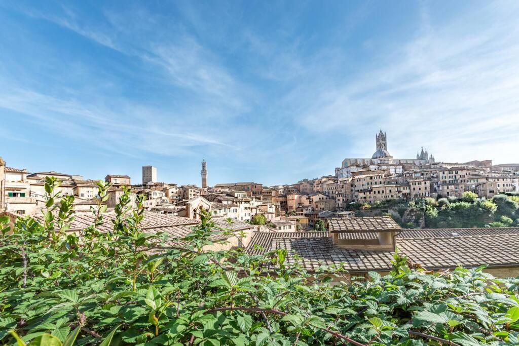 AffittibreviSiena - "Horse Apartment" nel centro di Siena vicino al Duomo - B&B Siena