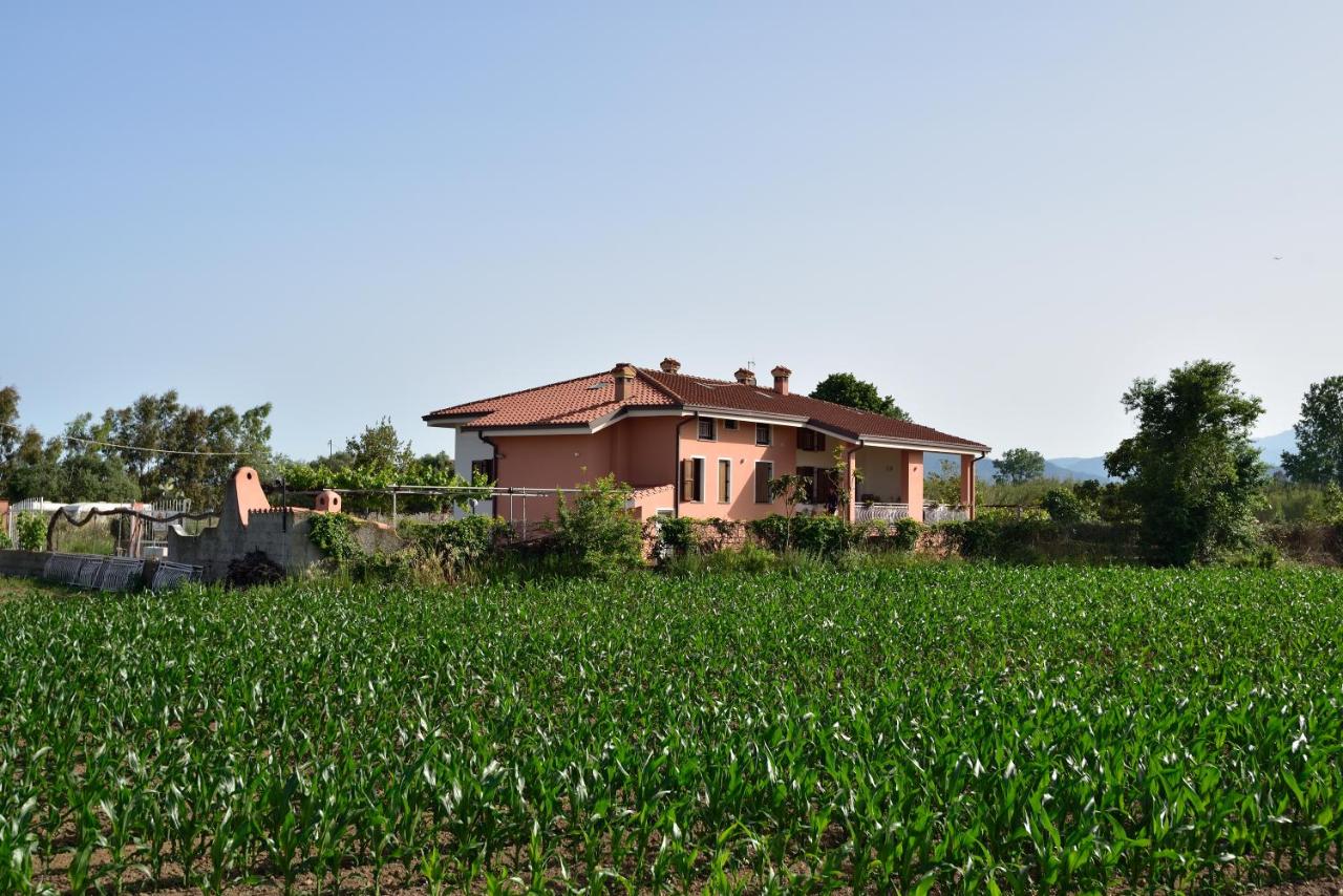2 - Villa Is Orrosas - Francesca's Holiday Home - Sa Crai Apartments Sardinian Experience - Chambres d'hôtes Lotzorai