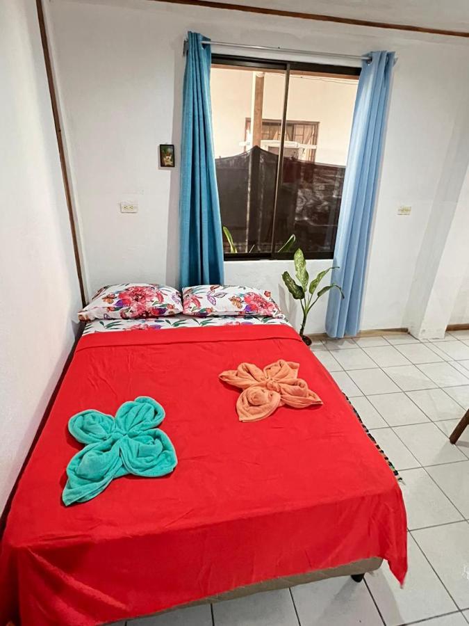 Appartement - Rez-de-Chaussée