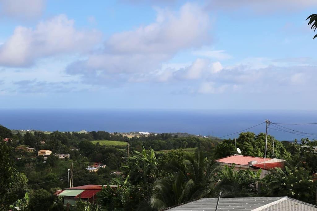 B&B Le Marigot - Studio Colibri... Cap sur le Nord ! - Bed and Breakfast Le Marigot