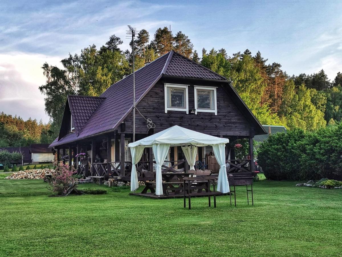 Trainiškio pirkia - B&B