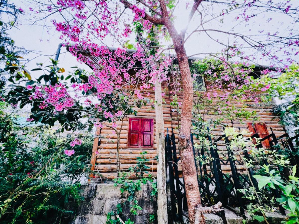 Simplewoods Homestay in Da Lat - B&B Da Lat