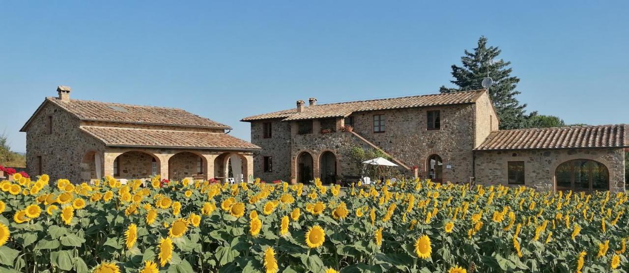 B&B Monticiano - Casetta della Pina - Bed and Breakfast Monticiano