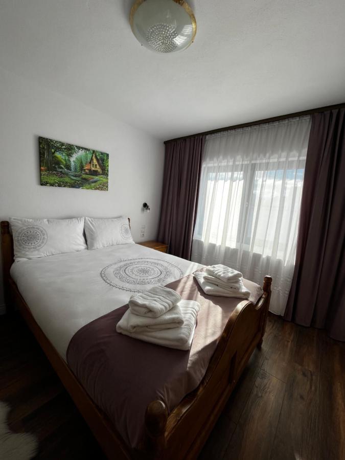 Rustic Maramureș - B&B Ocna Şugatag