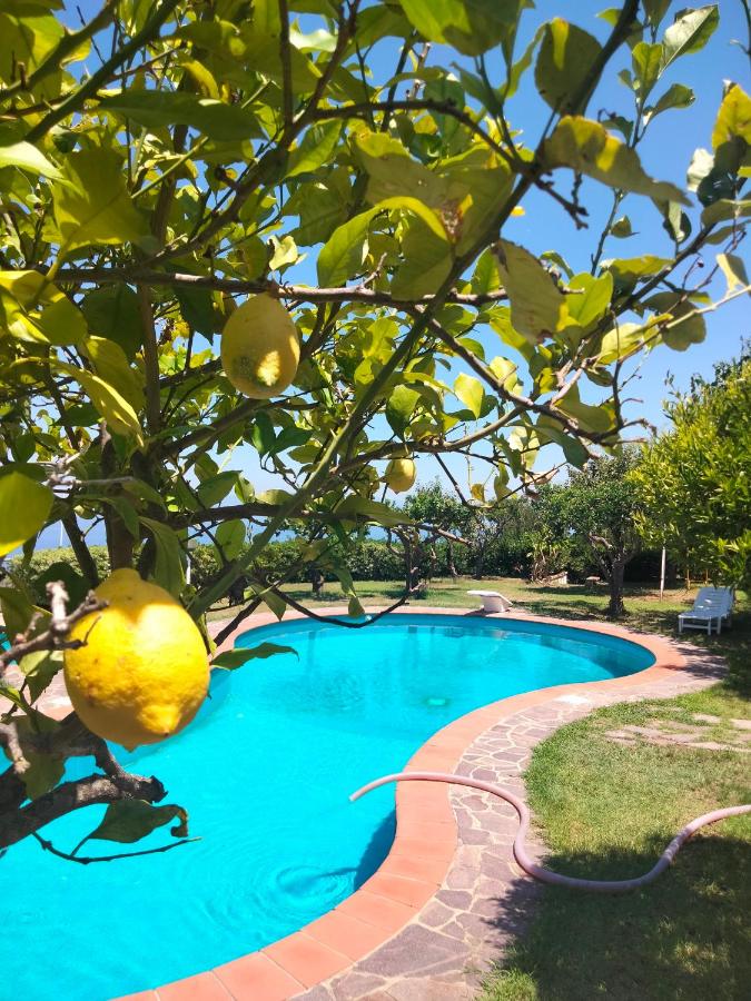 Casa Morello - B&B Zambrone