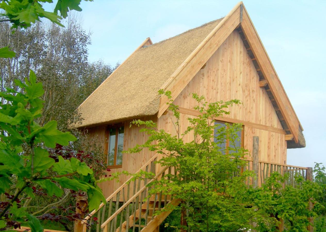 Wooden Cabin