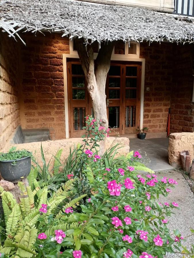 B&B Boralesgamuwa South - Earth Homestay - Bed and Breakfast Boralesgamuwa South