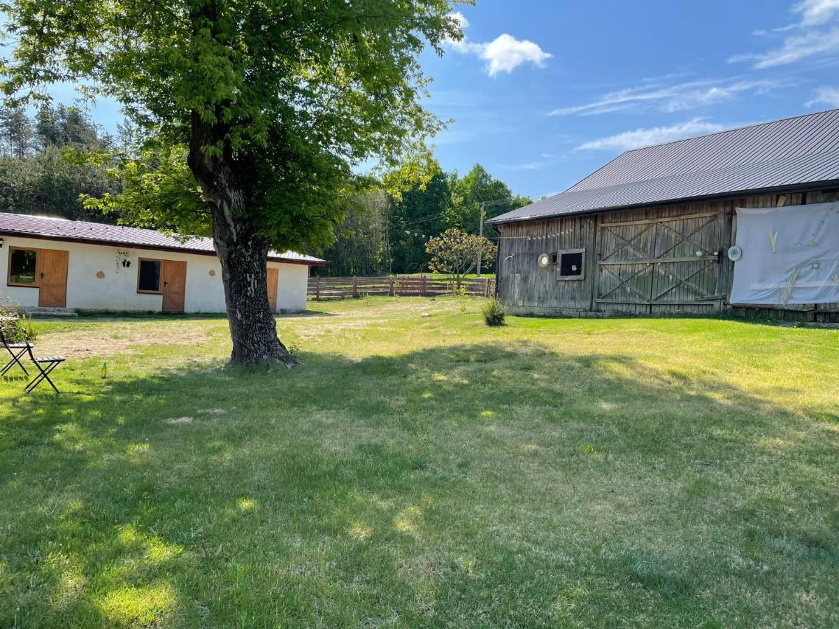 Siedlisko Barycz Kolonia, Dom całoroczny na wyłączność - 50 m2 6 osobowy z 2 pokojami, teren 2 hektary wśród lasów i łąk - B&B Zwoleń