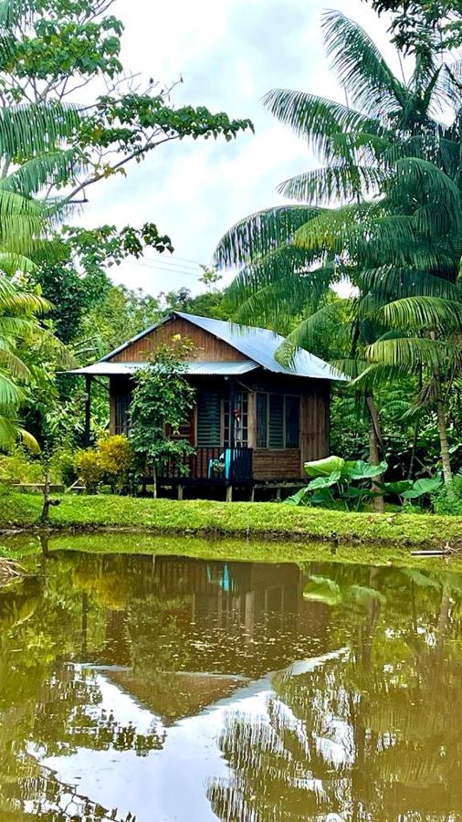 B&B Puerto Nariño - Cabañas Dechi - Bed and Breakfast Puerto Nariño