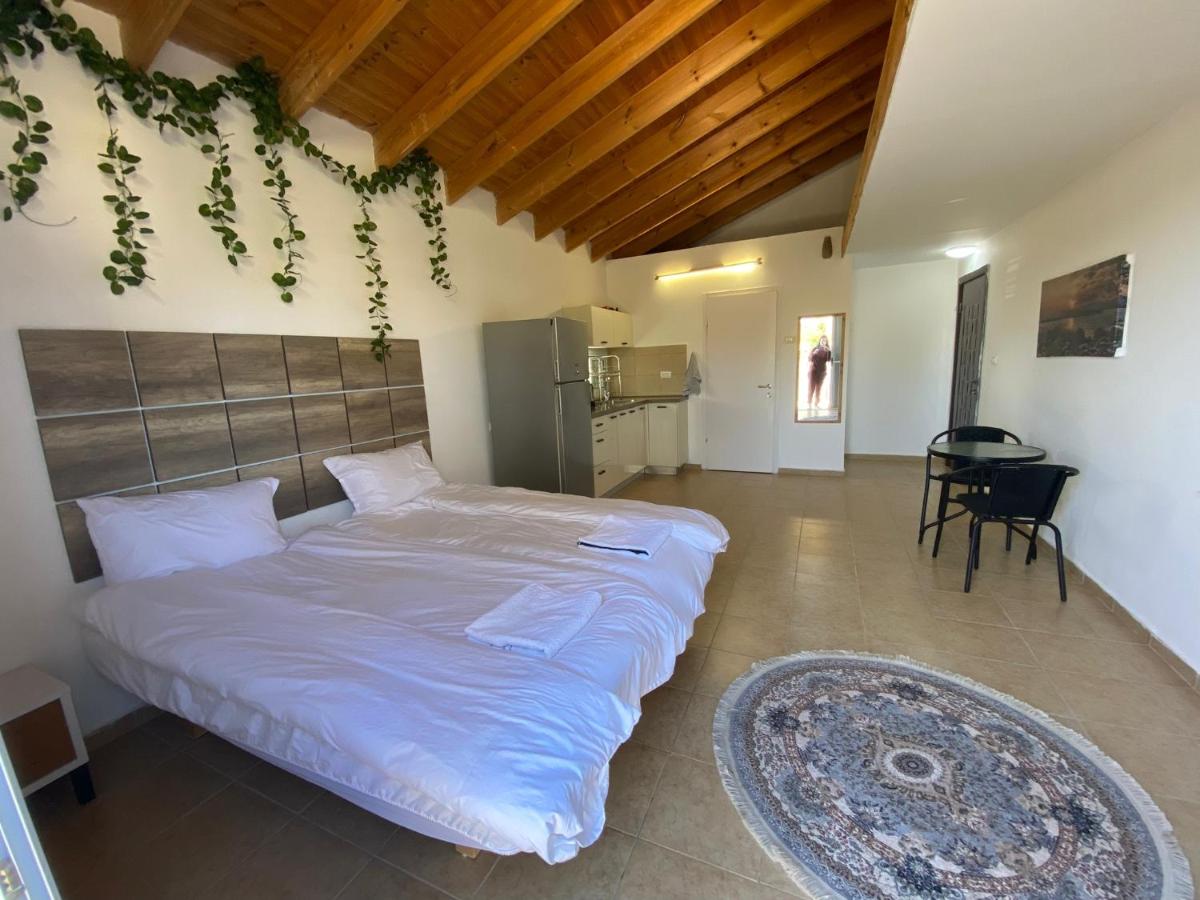 Adi studio - B&B