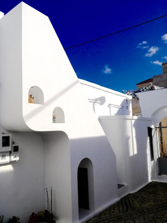 Traditional Villa Sofia - B&B