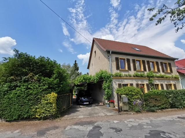 Weinberghaus von Annett und Peterle - B&B