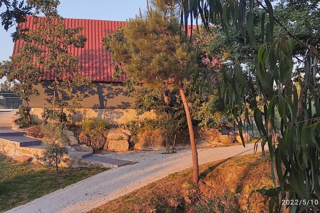 Casa do Neto. Anexo vale da Ginjeira. - B&B Quinta da Carrapata