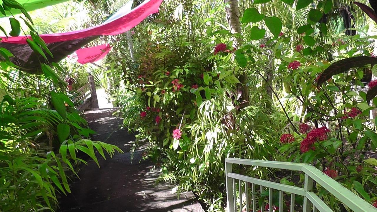 Pinpin D'amour - Bed and Breakfast