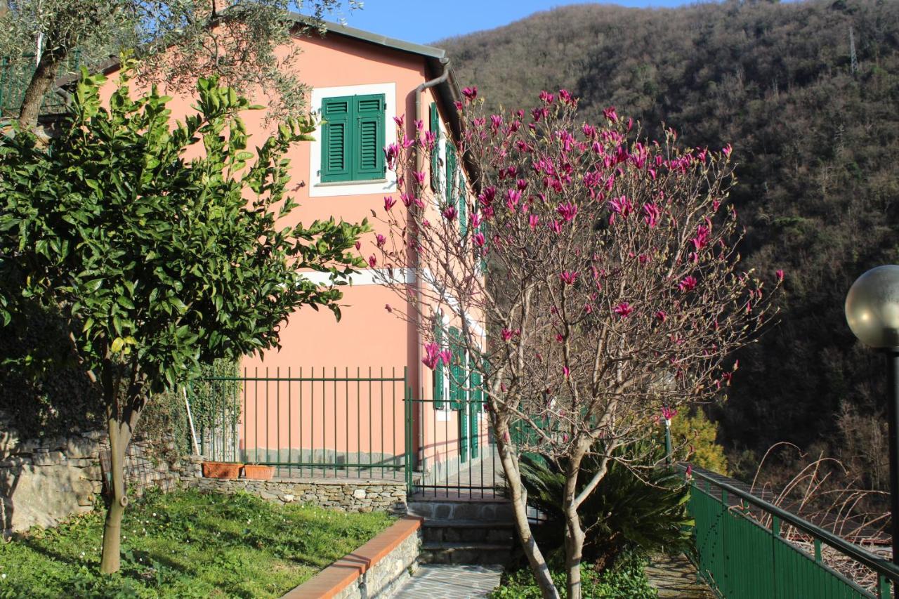 B&B Zoagli - Casa Laura - Bed and Breakfast Zoagli