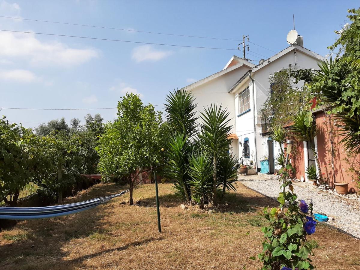 B&B Pombal - Guesthouse & Mini camping Yuccasa - Bed and Breakfast Pombal