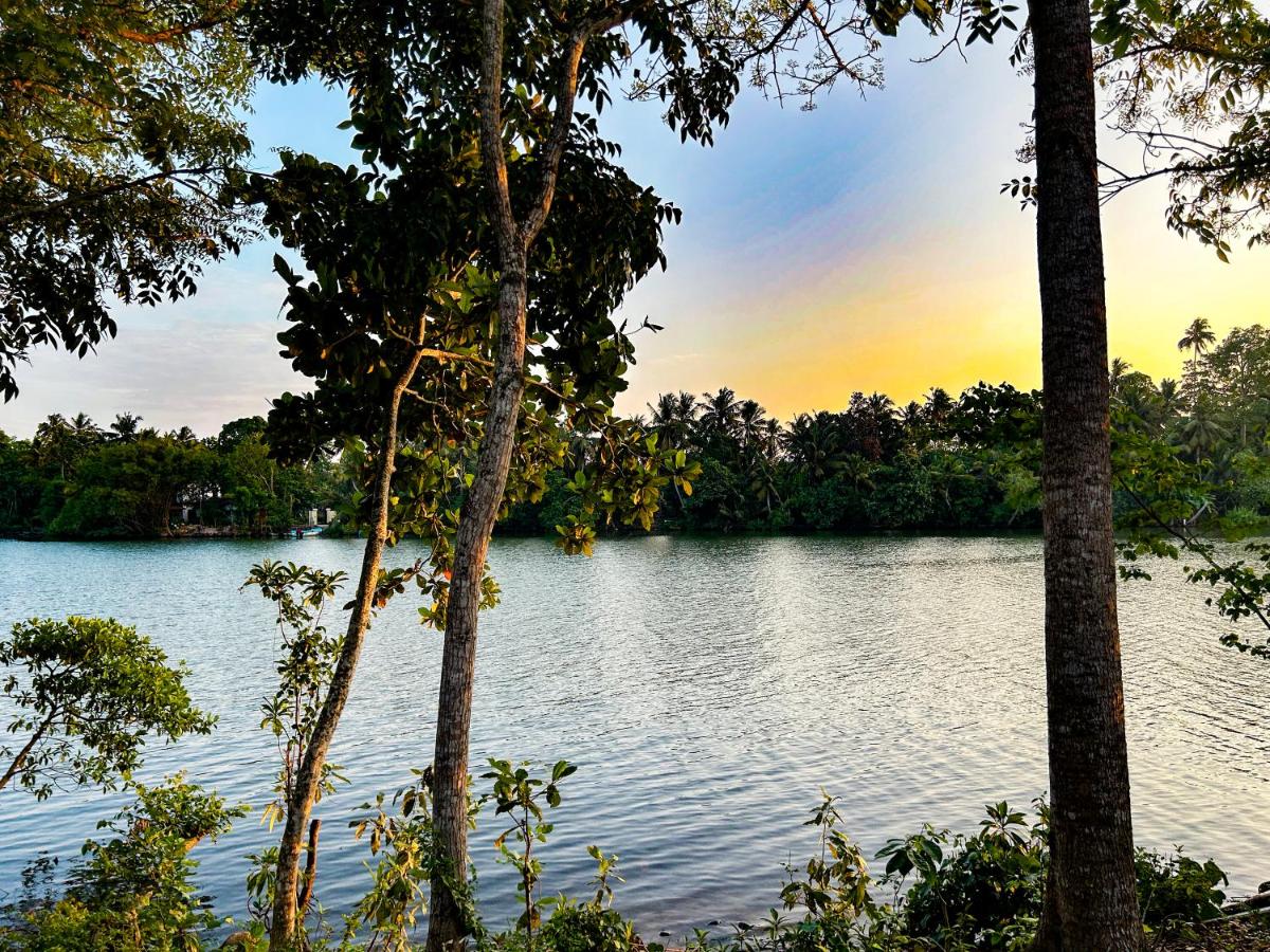 Villa River Edge - B&B Weligama