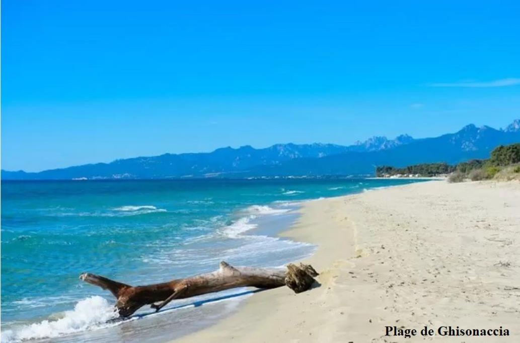 Vista Mare Ghisonaccia - B&B Ghisonaccia