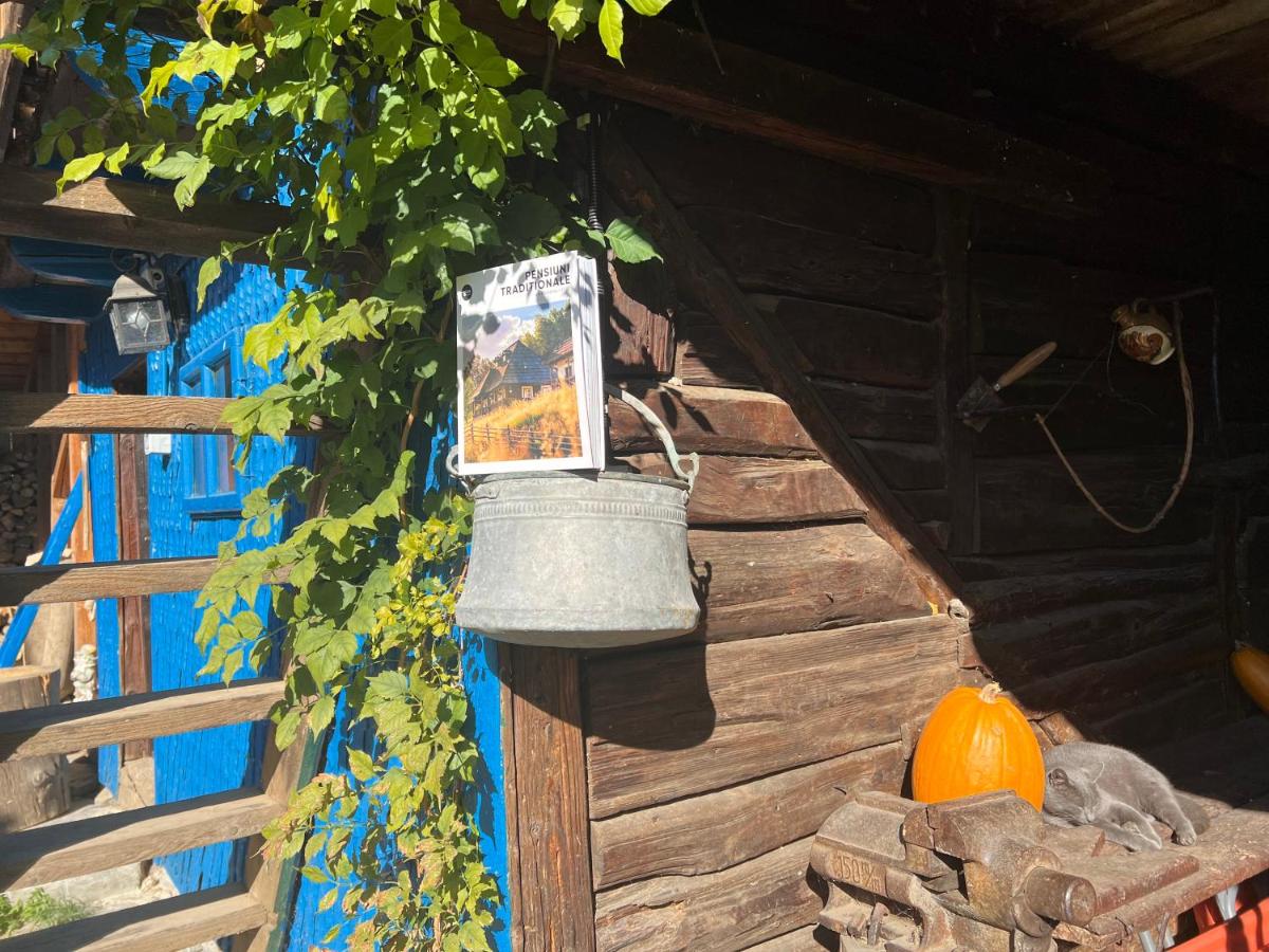 Casa de vacanta traditionala La Fanar - Ferienwohnung