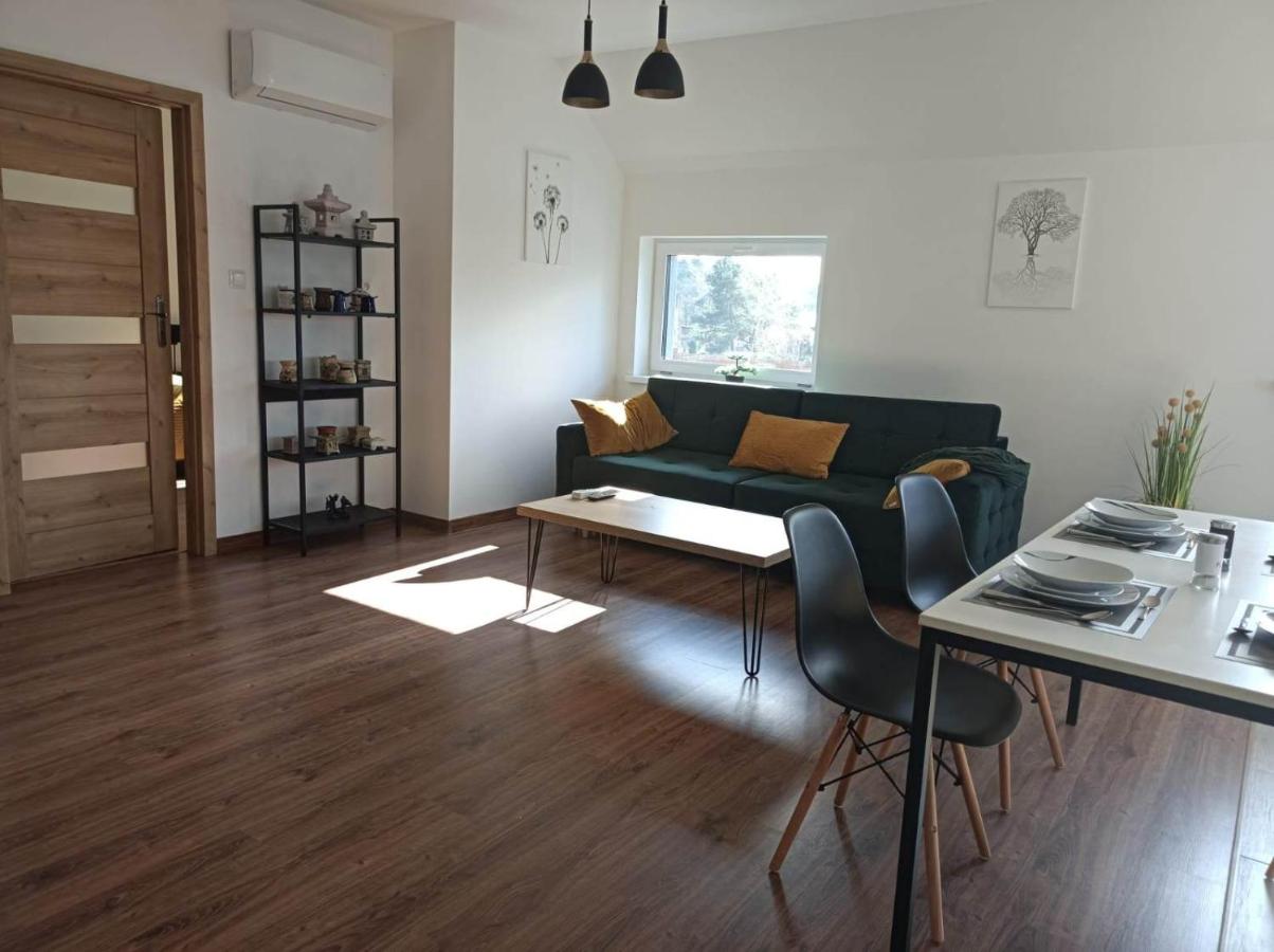 Apartment with Lake View