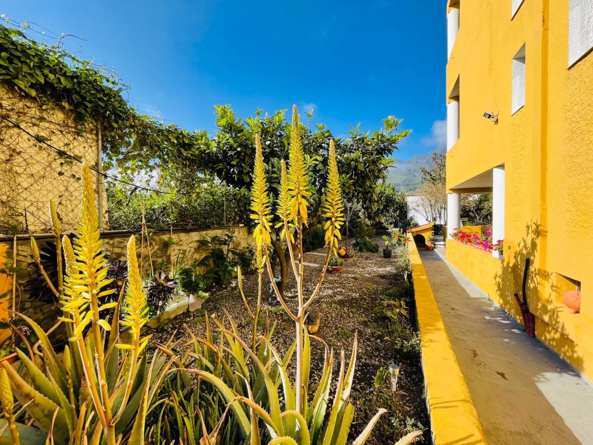 Apartamento planta baja - piscina compartida - B&B