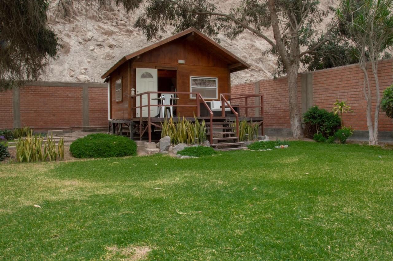 Deluxe Bungalow mit Gartenblick