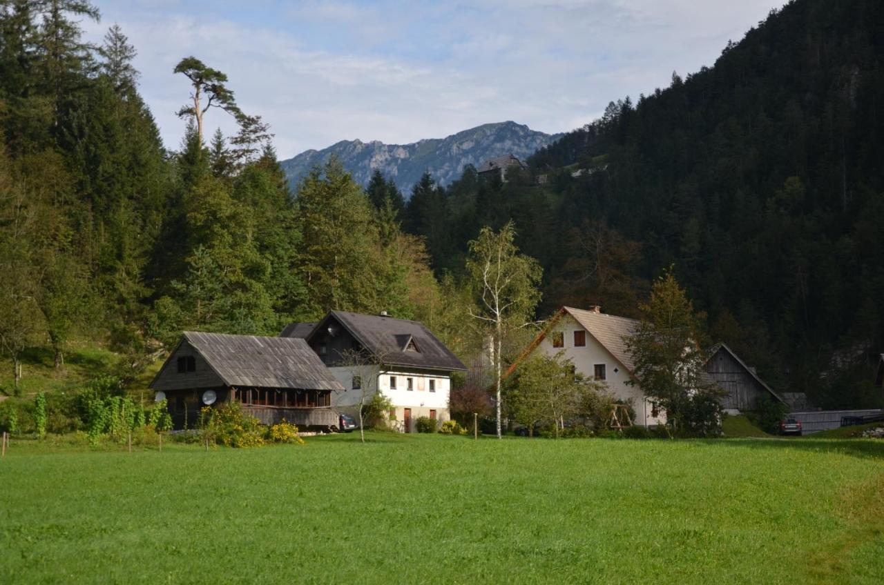 The farmhouse Bevsek Osep - B&B Solcava