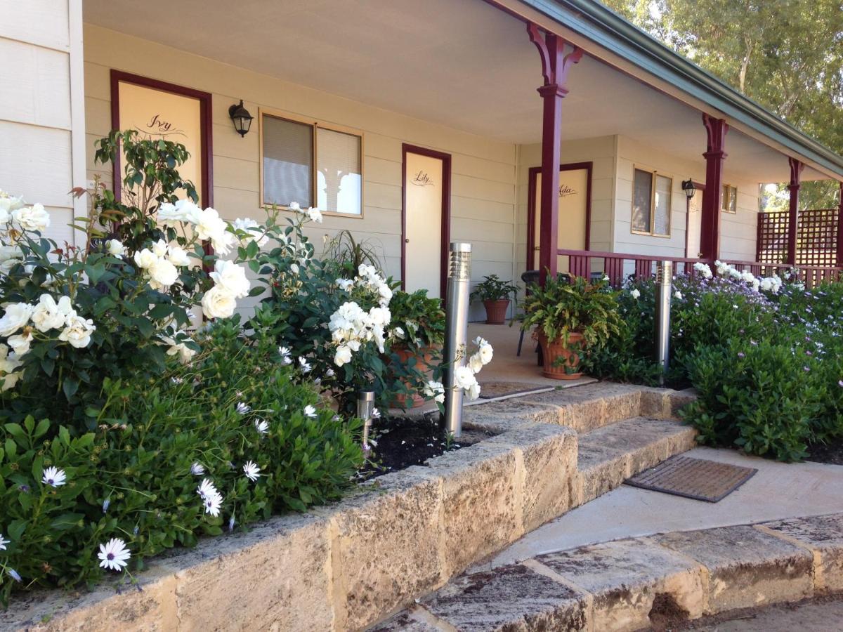 The Nosh & Nod - Avon Terrace - B&B