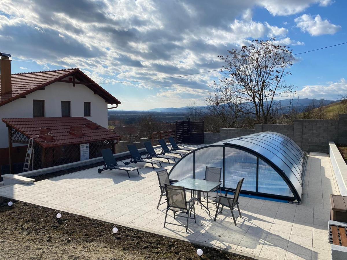 Pensiunea Casa din Vii - B&B Șeușa