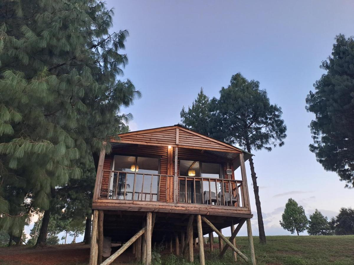 Standard Cabin