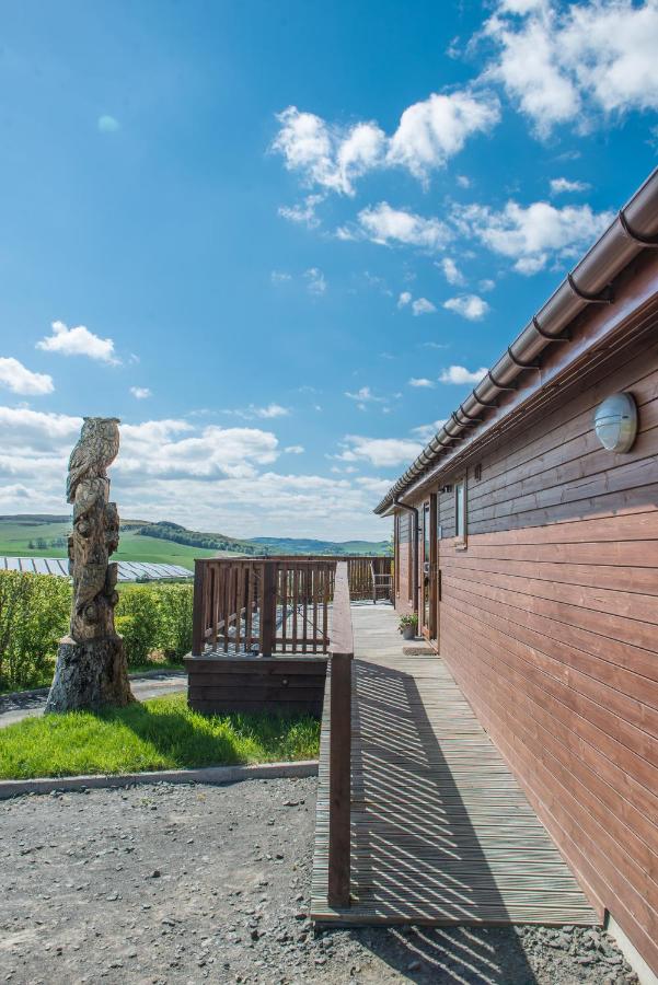 Tawny Lodge with Hot Tub - Chambres d’hôtes Cupar