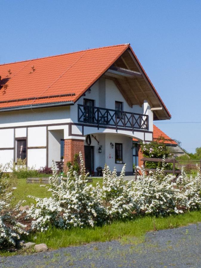 B&B Paszowice - Storczykowe Wzgórze - Bed and Breakfast Paszowice