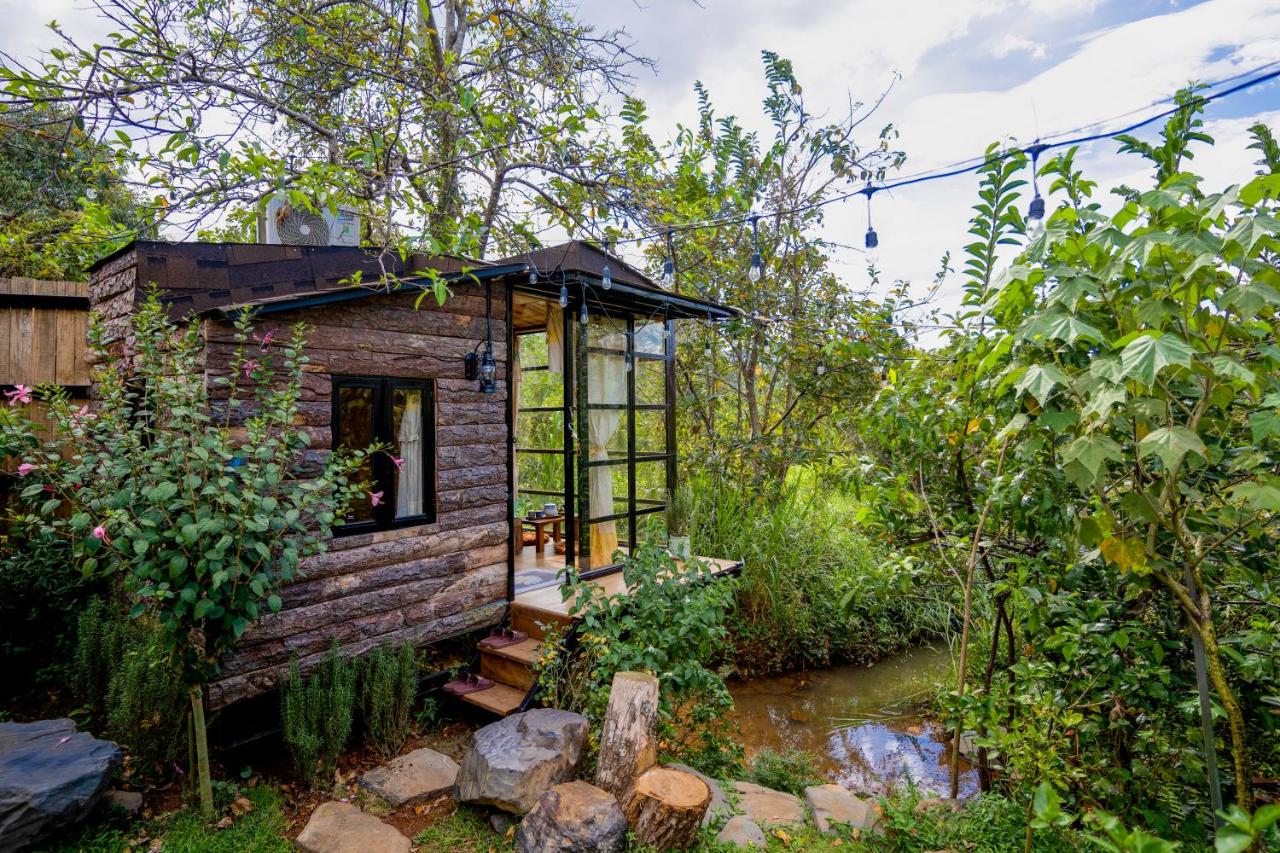 HomeTa Homestay - B&B