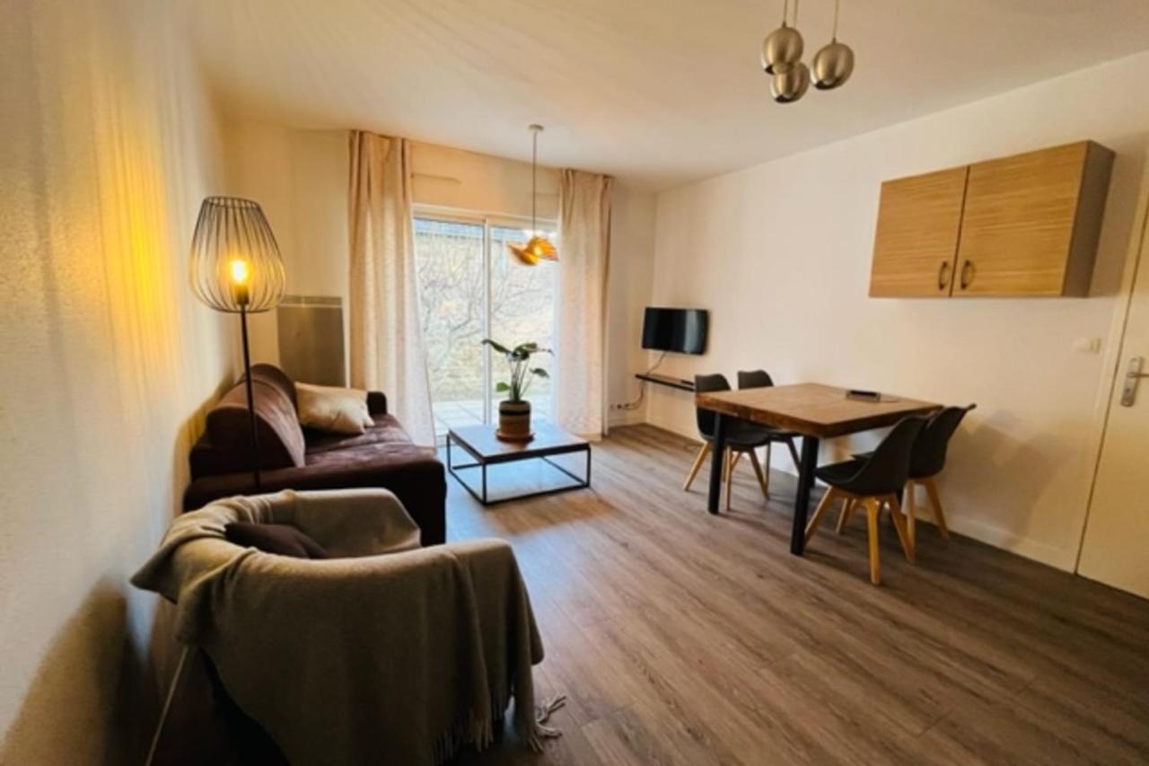 Spacious and very central apartment with garden - B&B