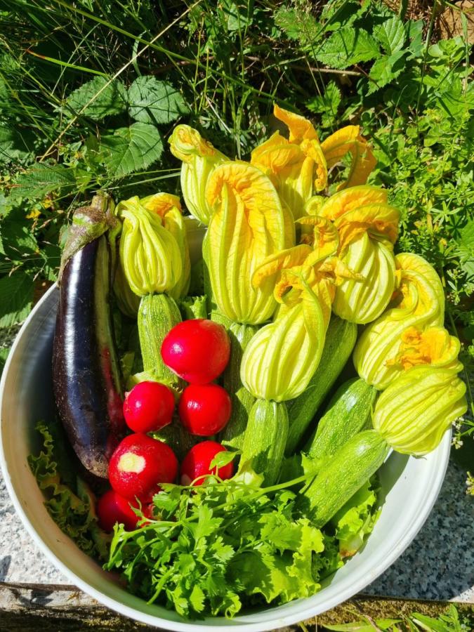 La perla nella foresta - B&B Vara Superiore