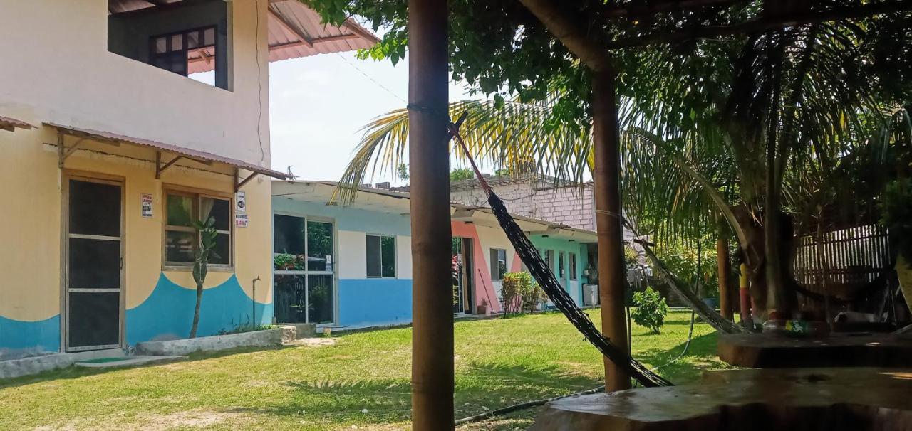 OCEAN surf - B&B
