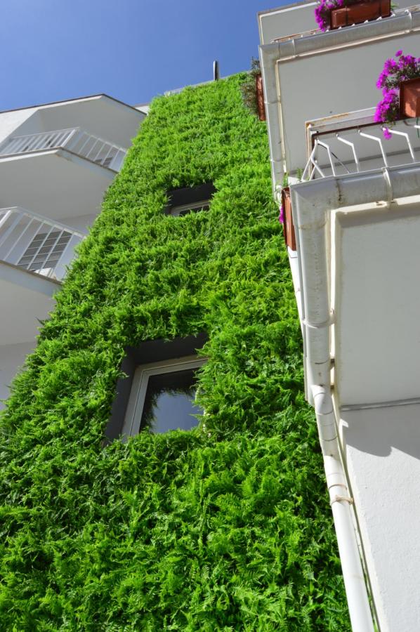 Hostal Mar del Plata - Bed and Breakfast