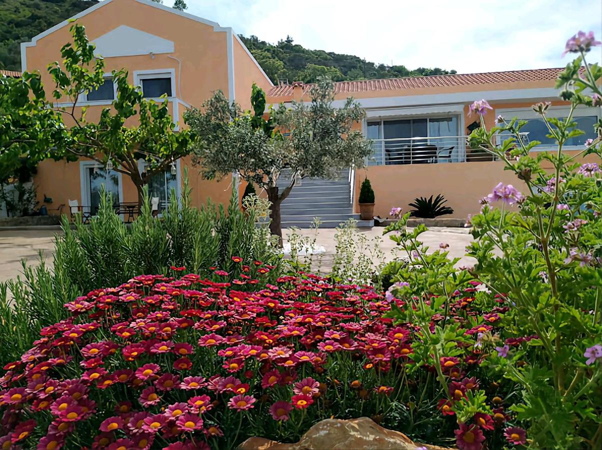 Villa Amfiario - Luxury & Breathtaking views under the Attica Sun! - Chambres d'hôtes Kálamos