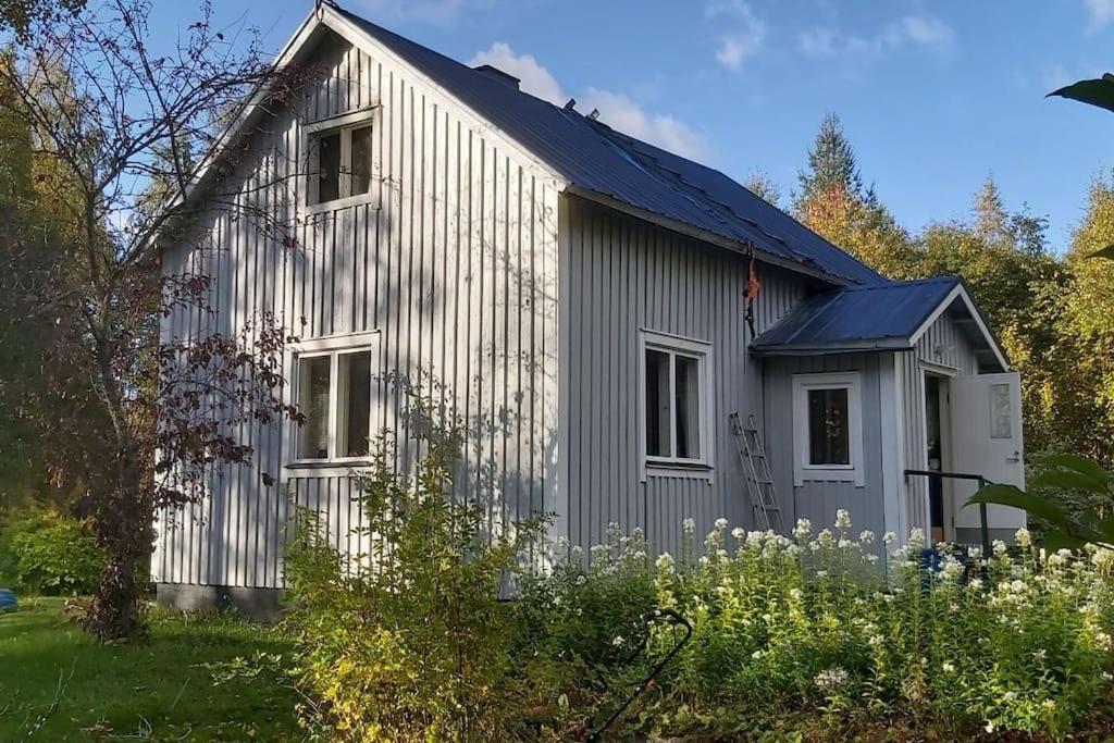 Villa Mäntysaari luonnonrauhaa kaupungin lähellä. - B&B