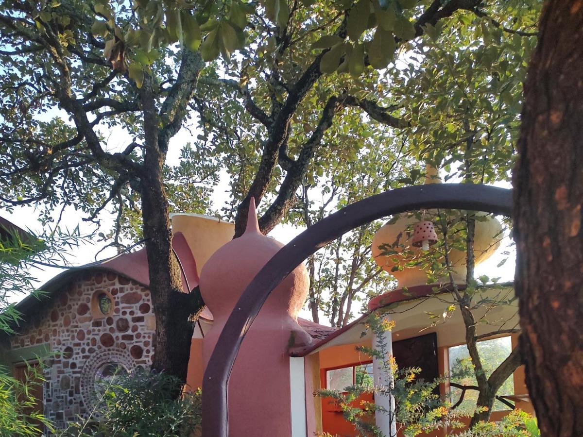 Standard Twin Room with Mountain View